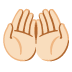 :palms_up_together:t2: