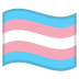 :transgender_flag: